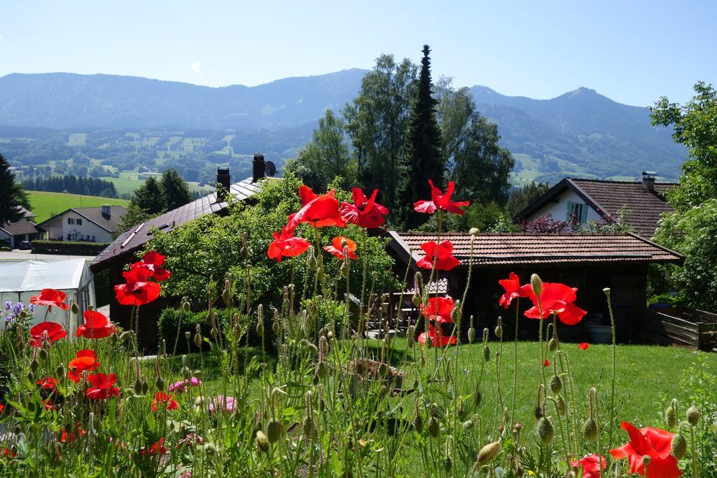 Apartment Sonnenfeld Samerberg Rom bilde